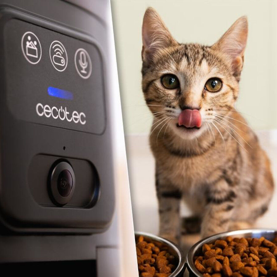 Cecotec Pumba 8600 Comedouro autom&aacute;tico para gatos e c&atilde;es, , large Imagem n&uacute;mero 4