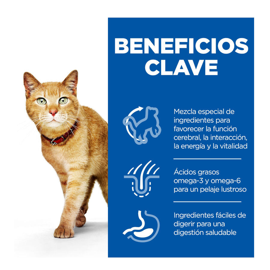 12 saquetas x 85 g Hill's Science Plan Senior Vitality Sach&ecirc; de frango e salm&atilde;o em molho para gatos, , large Imagem n&uacute;mero 2