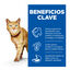 12 saquetas x 85 g Hill's Science Plan Senior Vitality Sach&ecirc; de frango e salm&atilde;o em molho para gatos, , large Indicador imagem n&uacute;mero 2