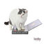 Leeby Lily arranhador de cartão em forma de portátil para gatos, , large Indicador imagem número 2