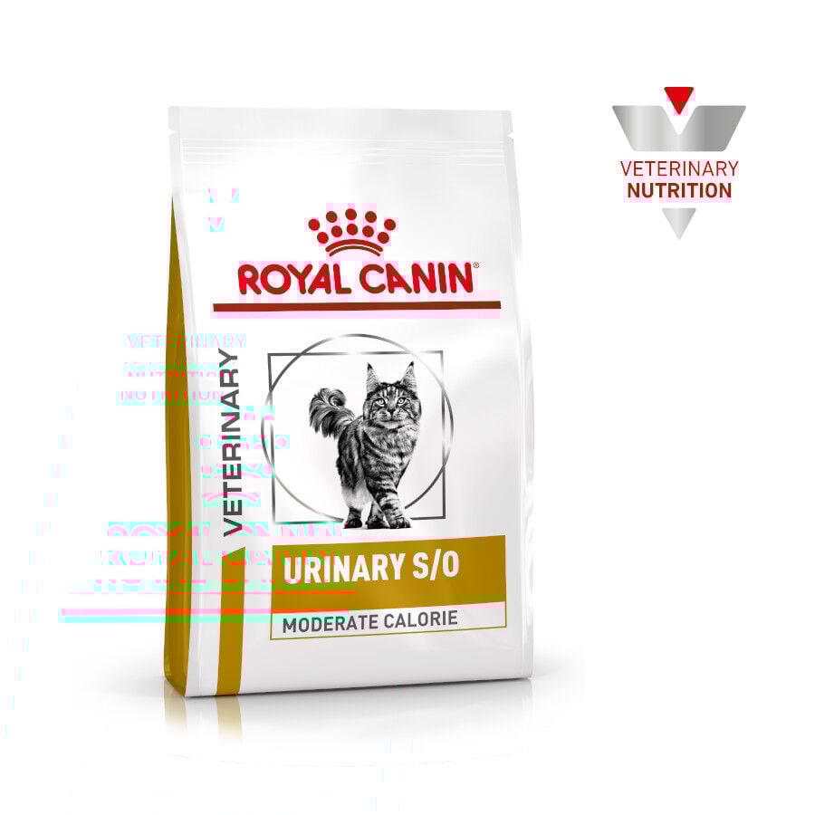 3.5 kg Royal Canin Veterinary Urinary Moderate Calorie ra&ccedil;&atilde;o para gatos , , large Imagem n&uacute;mero 2