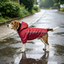 Gotoo Casaco Imperme&aacute;vel Refletor Vermelho para c&atilde;es, , large Indicador imagem n&uacute;mero 1