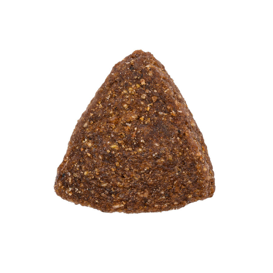 Weego Low Grain Ra&ccedil;&atilde;o de salm&atilde;o e arroz para c&atilde;es, , large Imagem n&uacute;mero 3