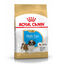 1.5 kg Royal Canin Puppy Shih Tzu ração para cães, , large Indicador imagem número 1