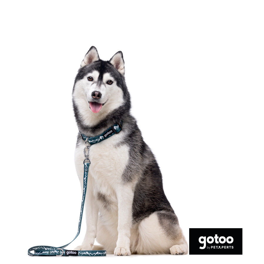 Gotoo trela com mosquet&atilde;o de seguran&ccedil;a verde para c&atilde;es, , large Imagem n&uacute;mero 3