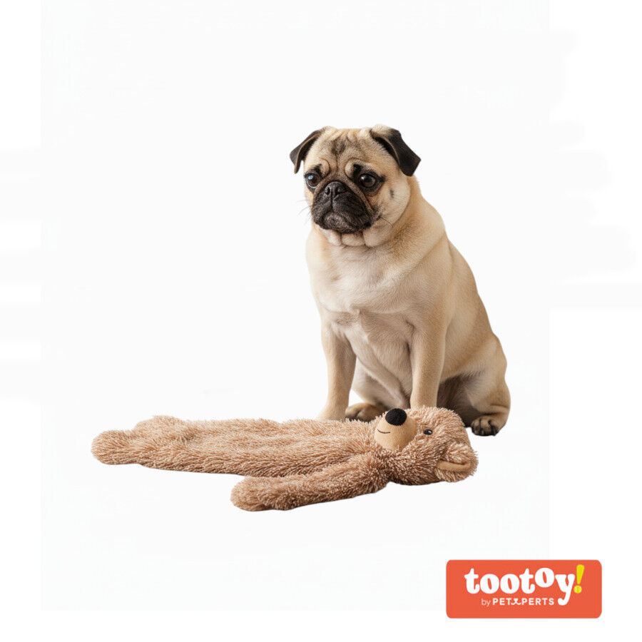 Tootoy! Comfort Peluche de urso para c&atilde;es, , large Imagem n&uacute;mero 8