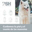 PSH CBD Fusion Champô para cães e gatos, , large Indicador imagem número 2