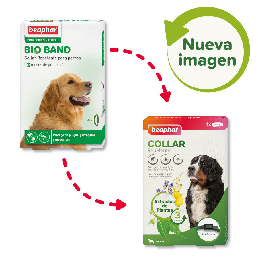 Beaphar Bio Band Coleira repelente para c&atilde;es, , large Imagem n&uacute;mero 2