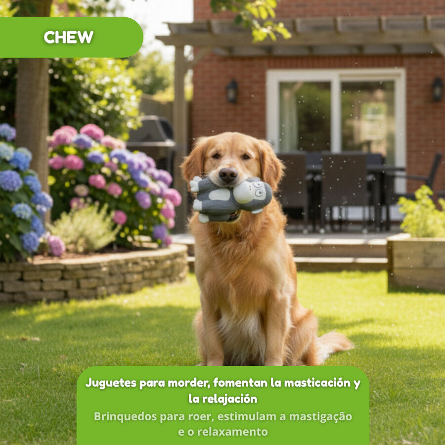 Tootoy! Chew Mordedor Macaquinho Gorila para c&atilde;es, , large Imagem n&uacute;mero 5