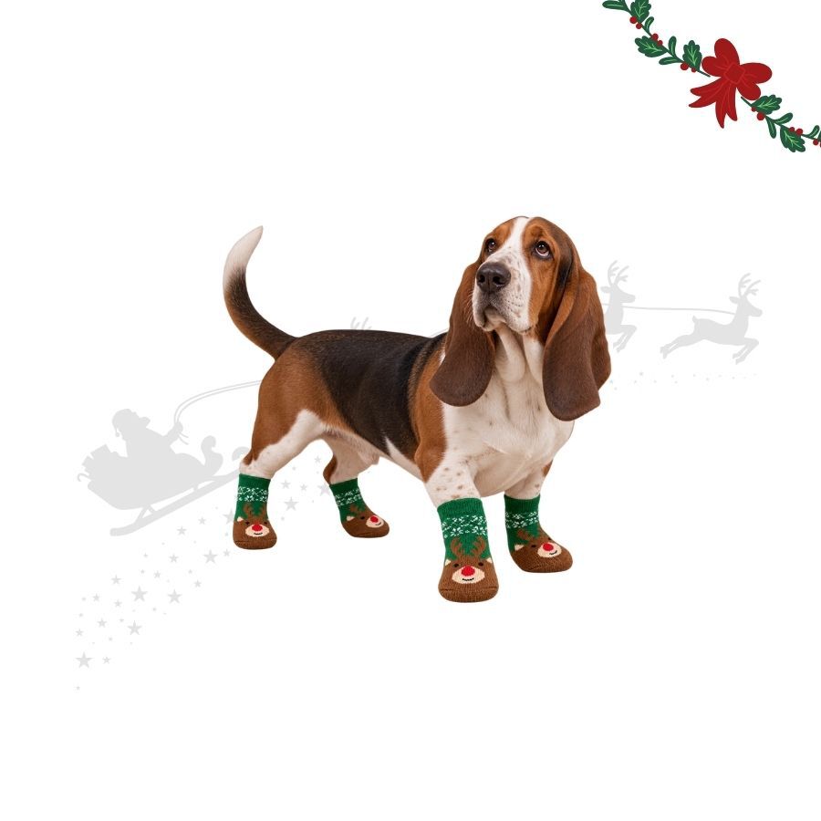Wonder Christmas Meias de Natal para c&atilde;es, , large Imagem n&uacute;mero 1