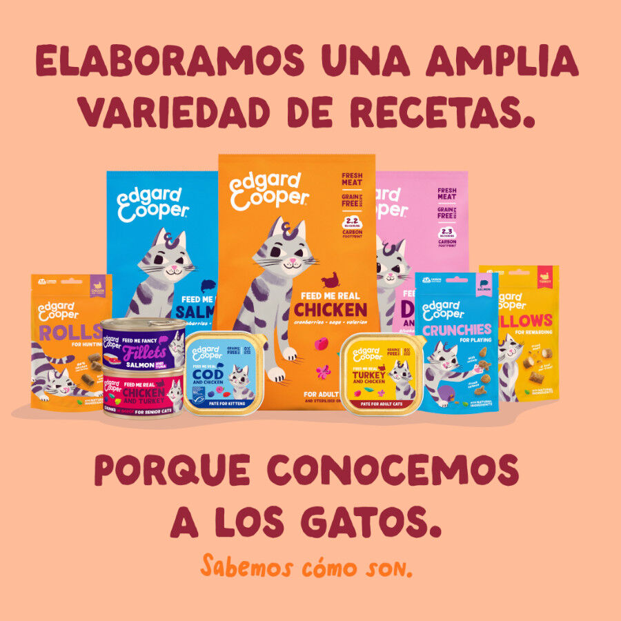 70 g Edgard & Cooper Filetes de Pollo Lata para gatos, , large Imagem n&uacute;mero 8