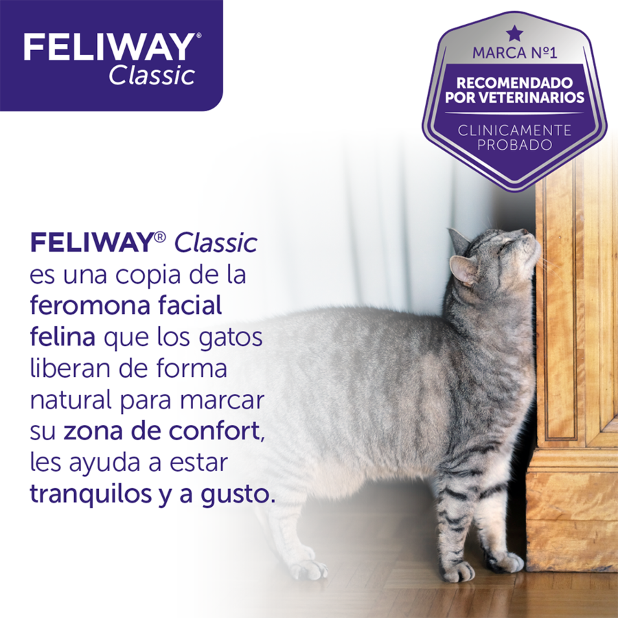 Feliway Spray com feromonas  tranquilizantes para gatos, , large Imagem n&uacute;mero 10