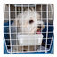 Ferplast Atlas Open Transportadora para cães e gatos, , large Indicador imagem número 4