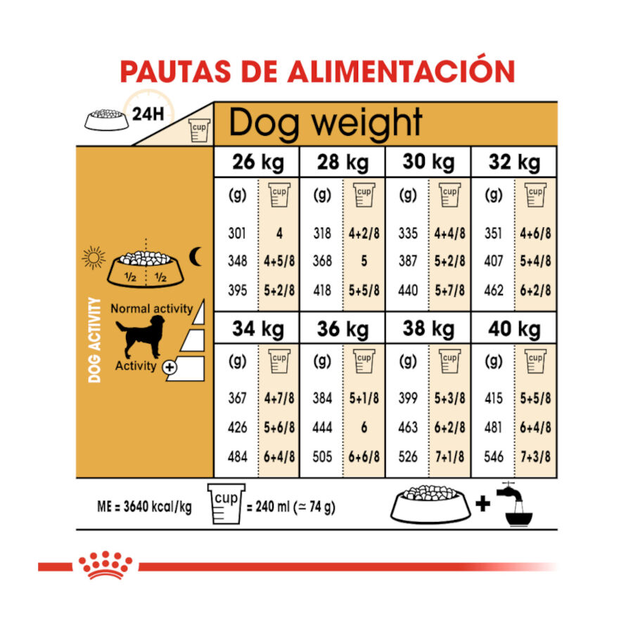 12 kg Royal Canin Adult Labrador Retriever ra&ccedil;&atilde;o para c&atilde;es, , large Imagem n&uacute;mero 8