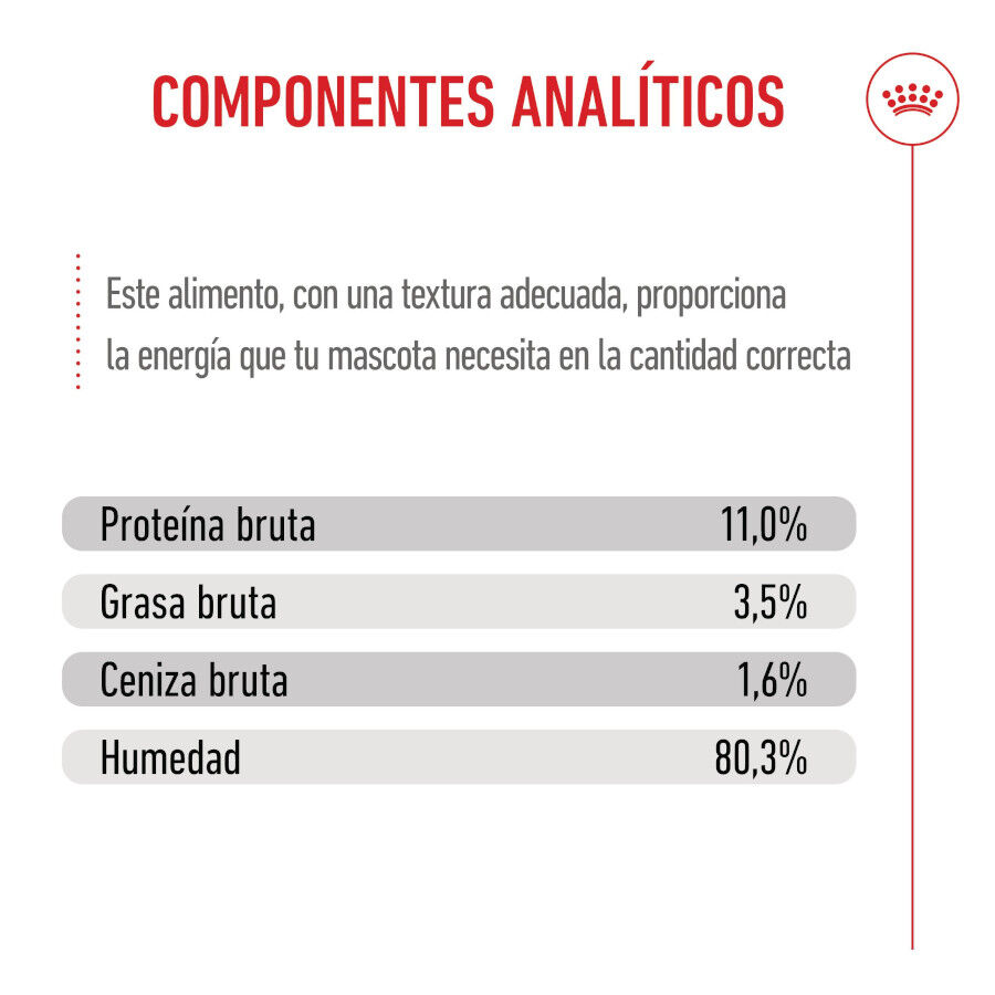 85 g Royal Canin Kitten Sterilised alimento h&uacute;mido em molho saquetas para gatos, , large Imagem n&uacute;mero 9