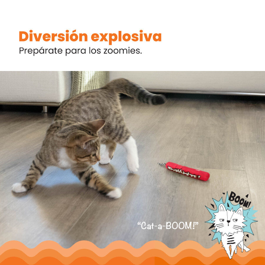 Catstages Green Magic Dynamite Vermelho Peluche para gatos, , large Imagem n&uacute;mero 5