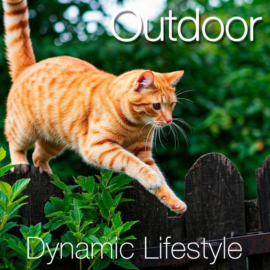 10 kg Catxtreme Adult Outdoors Ra&ccedil;&atilde;o de frango para gatos  , , large Imagem n&uacute;mero 4