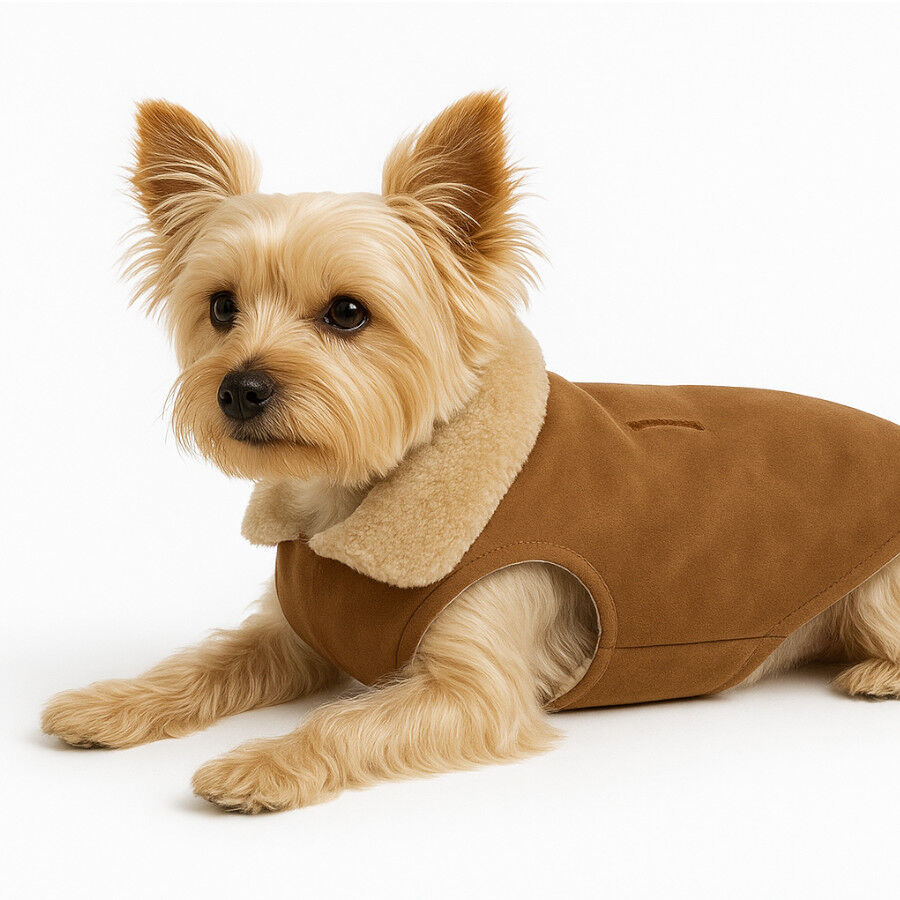 Outech Casaco Imperme&aacute;vel para c&atilde;es, , large Imagem n&uacute;mero 3