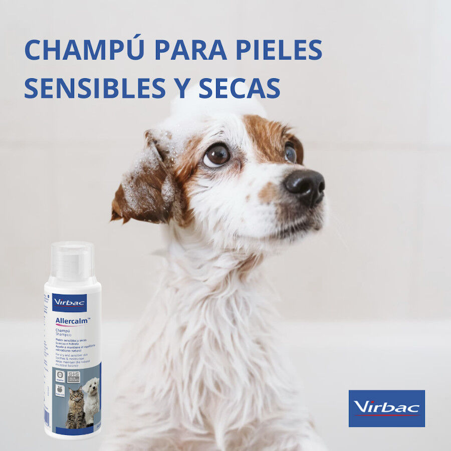 Virbac Allercalm Champ&ocirc; para c&atilde;es e gatos, , large Imagem n&uacute;mero 3