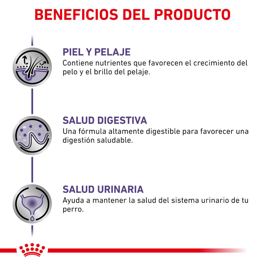 12 saquetas x 85 g Royal Canin Expert Adult L&aacute;minas em molho sobre para c&atilde;es, , large Imagem n&uacute;mero 3