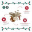 1 pack x 39 uns. Wonder Christmas Caixa de Presente com Snacks de Couro Prensado para C&atilde;es, , large Indicador imagem n&uacute;mero 3