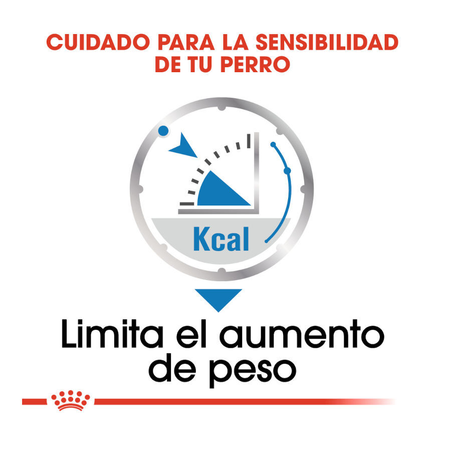 85 g Royal Canin Light Weight Care Saquetas Pat&ecirc; para c&atilde;es, , large Imagem n&uacute;mero 5
