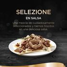 Sheba Selezione Carnes Salsa en Bolsita para Gatos - Multipack, , large image number null