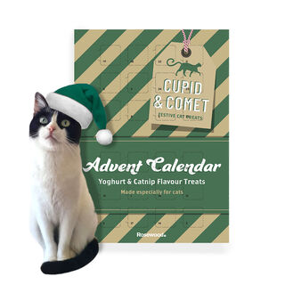 Rosewood Calendário do Advento para gato