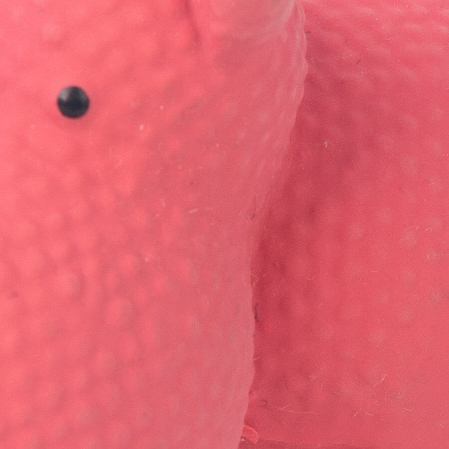 Tootoy! Puppy Mini Hippo Toy mordedor para cachorros, , large Imagem n&uacute;mero 3