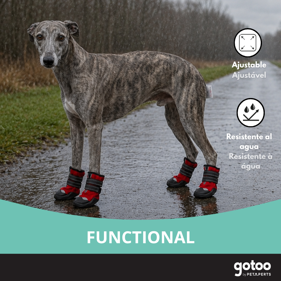 Gotoo Sapatos Vermelhos e Pretos para c&atilde;es, , large Imagem n&uacute;mero 6