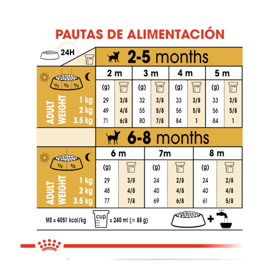 Royal Canin Puppy Chihuahua ra&ccedil;&atilde;o para c&atilde;es , , large Imagem n&uacute;mero 9