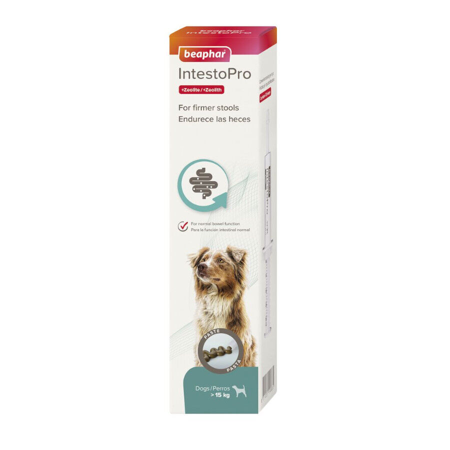 20 ml Beaphar IntestoPro pasta para c&atilde;es , , large Imagem n&uacute;mero 1