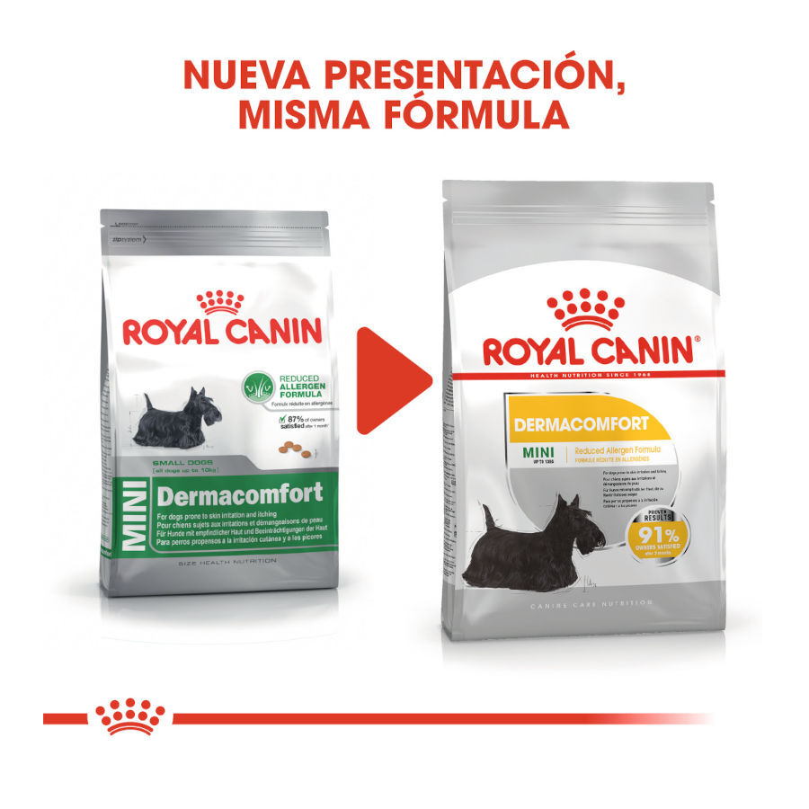 Royal Canin Dermacomfort Mini ra&ccedil;&atilde;o para c&atilde;es, , large Imagem n&uacute;mero 3