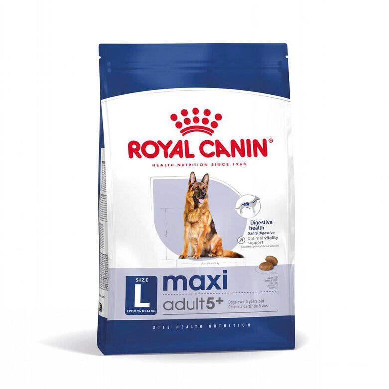 15 kg Royal Canin Maxi Adult 5+ ra&ccedil;&atilde;o para c&atilde;es seniores de ra&ccedil;a grande, , large Imagem n&uacute;mero 1