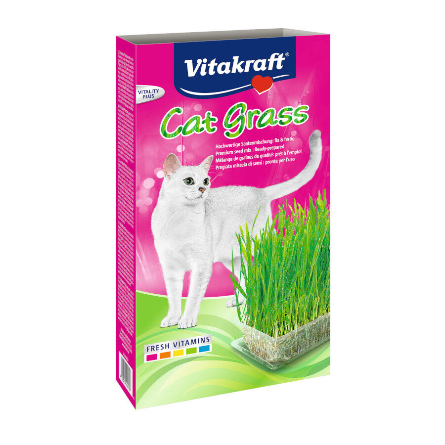 120 g Vitakraft Cat-Grass Catnip, , large Imagem n&uacute;mero 1