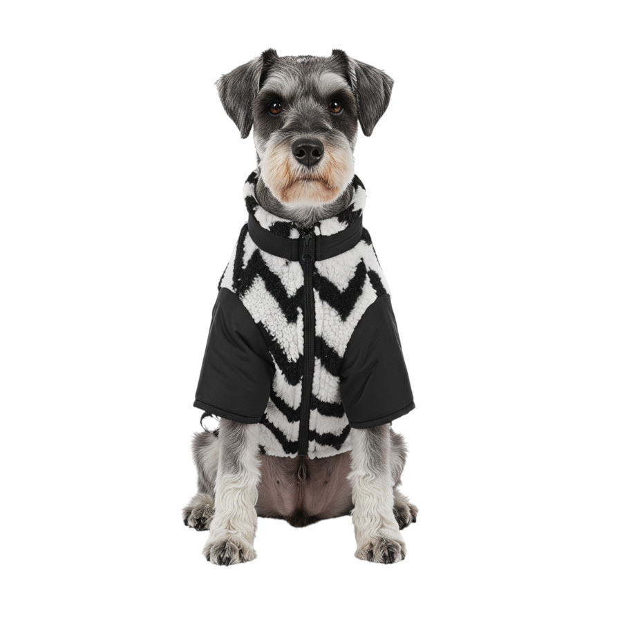 Gotoo Casaco com Padr&atilde;o Zigzag para c&atilde;es, , large Imagem n&uacute;mero 7