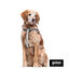 Gotoo Peitoral estampado folhas para cães, , large Indicador imagem número 3