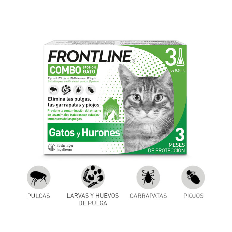 Frontline Combo pipetas antiparasitárias para gatos e furões,  Imagem número 2 Frontline Combo pipetas antiparasitárias para gatos e furões, , large Imagem número 2