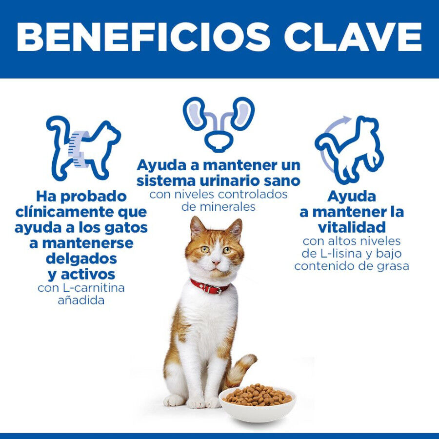 2 x 7 kg Hill's Science Plan Sterilised Adult Frango ra&ccedil;&atilde;o para gatos Pack poupan&ccedil;a!, , large Imagem n&uacute;mero 5