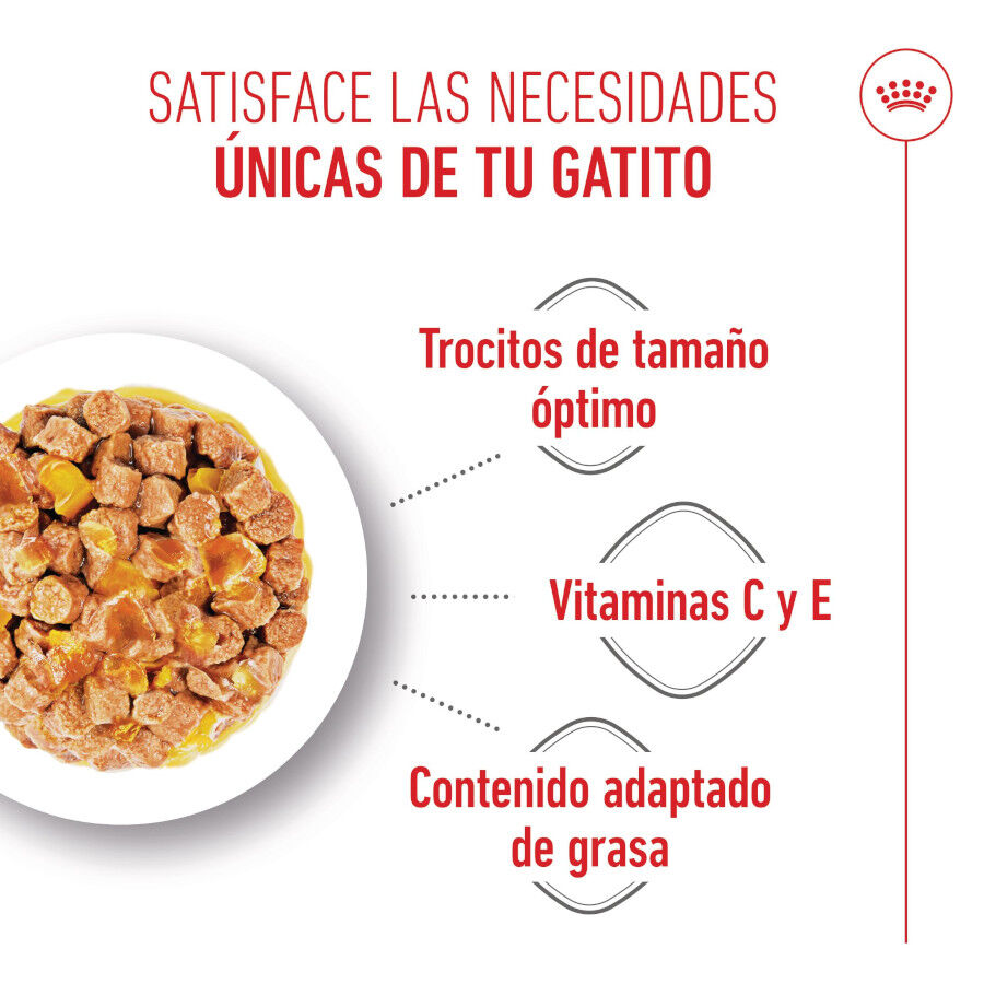 85 g Royal Canin Kitten Sterilised Saquetas de Gelatina para gatinhos, , large Imagem n&uacute;mero 4