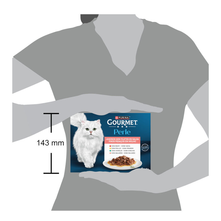 8 saquetas x 85 g Gourmet Perle Filetes de Carne em molho saqueta para gatos, , large Imagem n&uacute;mero 5