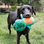 Kong Whoopz Crocodilo peluche para cães, , large Indicador imagem número 2