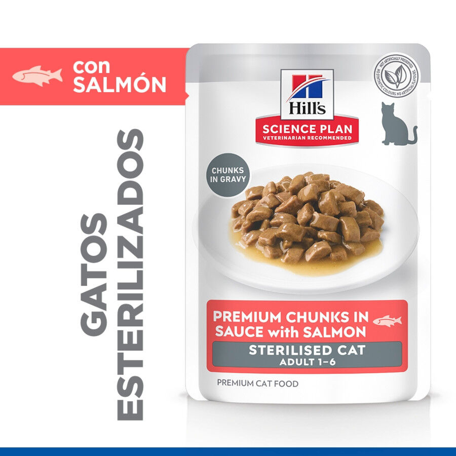 85 g Hill's Science Plan Sterilized Young Adult Salm&atilde;o saquetas para gatos, , large Imagem n&uacute;mero 3