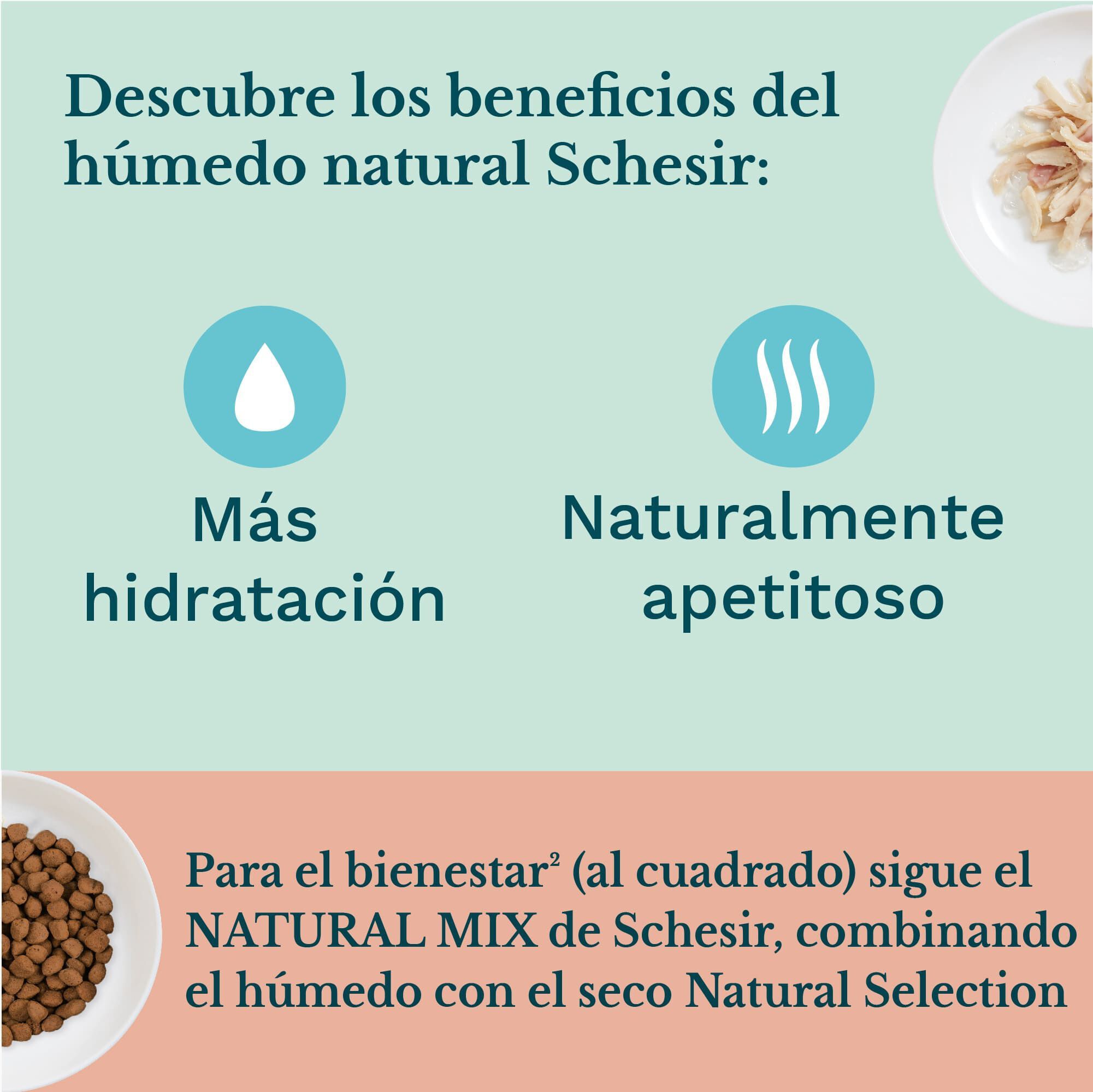 85 g Schesir Kitten Frango com Alo&eacute; lata para gatos, , large Imagem n&uacute;mero 5