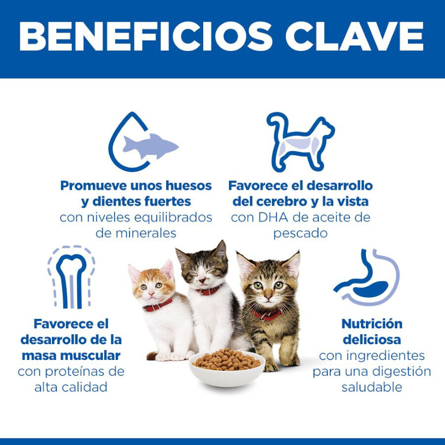 7 kg Hill's Kitten  Science Plan Frango ra&ccedil;&atilde;o , , large Imagem n&uacute;mero 4