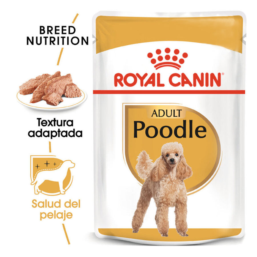 85 g Royal Canin Adult Poodle Pat&ecirc; saqueta para c&atilde;es, , large Imagem n&uacute;mero 1