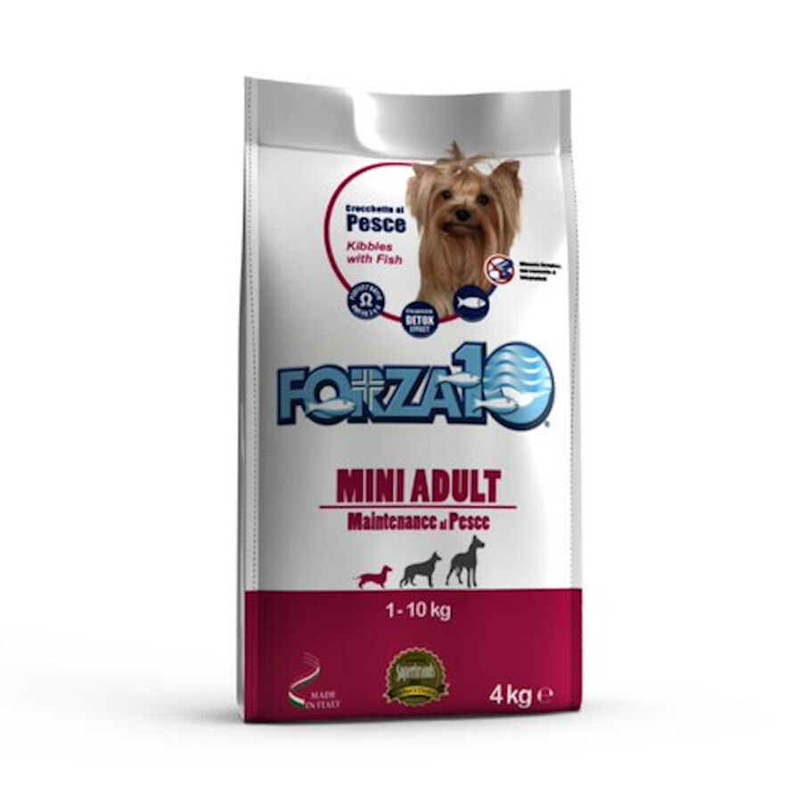 4 kg Forza 10 Mini Manuten&ccedil;&atilde;o ra&ccedil;&atilde;o para c&atilde;es, , large Imagem n&uacute;mero 1