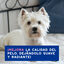 Ceva Douxo Spa Alivia Shampoo para Cães, , large Indicador imagem número 5