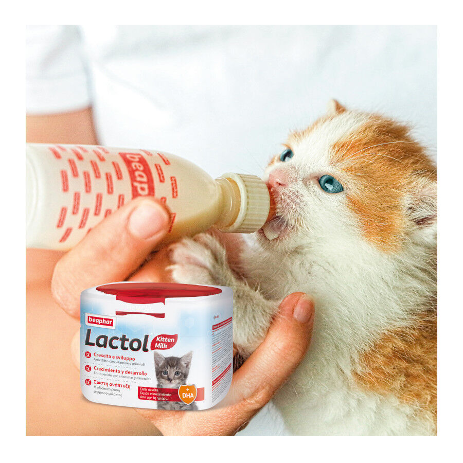 250 g Beaphar Lactol Leite em p&oacute; para gatinhos, , large Imagem n&uacute;mero 2