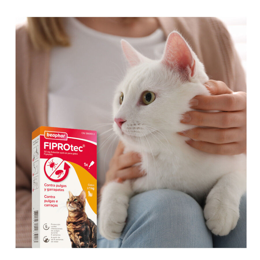 Beaphar Firprotec Pipetas antiparasit&aacute;rias para gatos, , large Imagem n&uacute;mero 8
